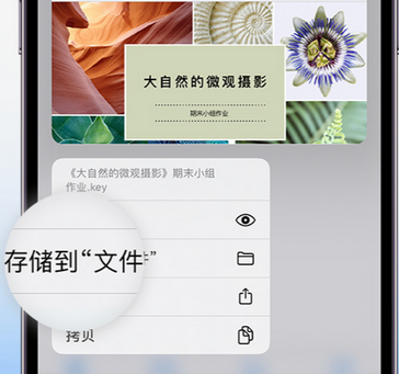 涟水apple维修中心分享iPhone文件应用中存储和找到下载文件