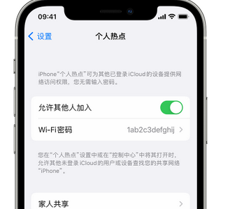 涟水apple服务站点分享iPhone上个人热点丢失了怎么办