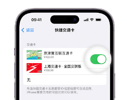 涟水apple维修点分享iPhone上更换Apple Pay快捷交通卡手绘卡面 