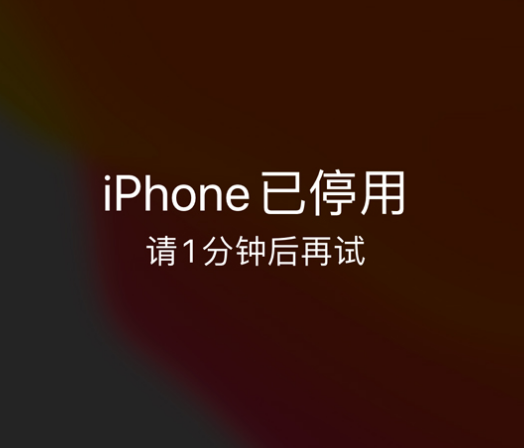 涟水苹果手机维修分享:iPhone 显示“不可用”或“已停用”怎么办？还能保留数据吗？ 