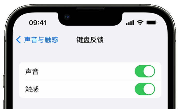 涟水苹果手机维修分享iPhone 14触感键盘使用方法 