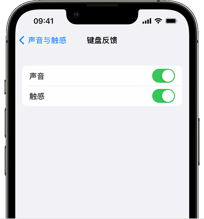 涟水苹果14维修店分享如何在 iPhone 14 机型中使用触感键盘 