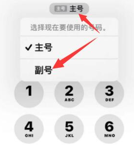 涟水苹果14维修店分享iPhone 14 Pro Max使用副卡打电话的方法 