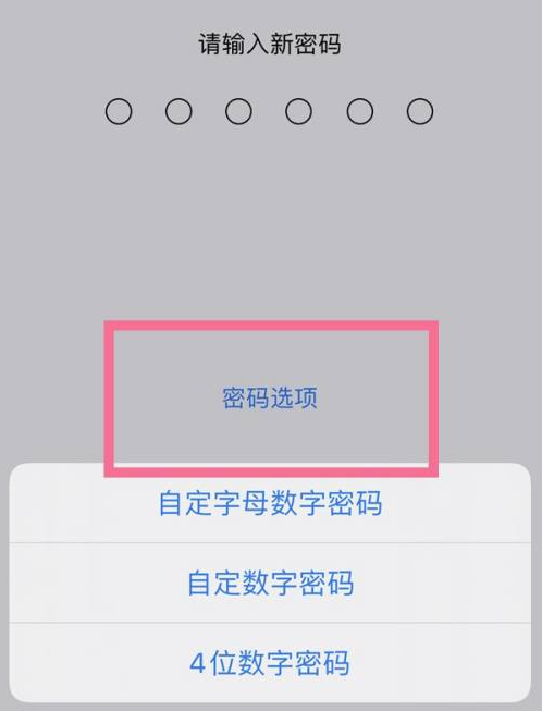 涟水苹果14维修分享iPhone 14plus设置密码的方法 