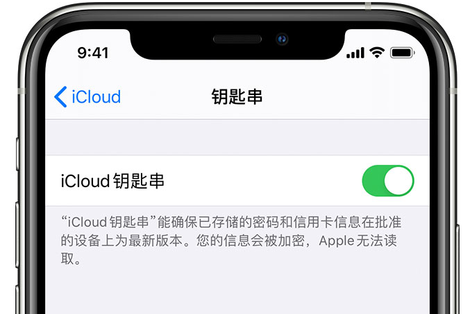 涟水苹果手机维修分享在 iPhone 上开启 iCloud 钥匙串之后会储存哪些信息 