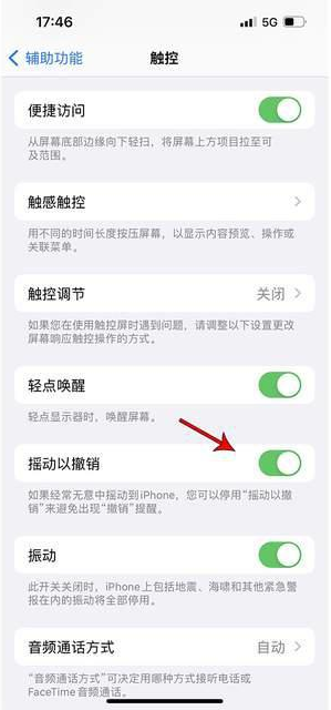 涟水苹果手机维修分享iPhone手机如何设置摇一摇删除文字 