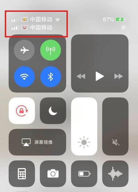 涟水苹果手机维修分享为 iPhone 12 双卡设置标签 